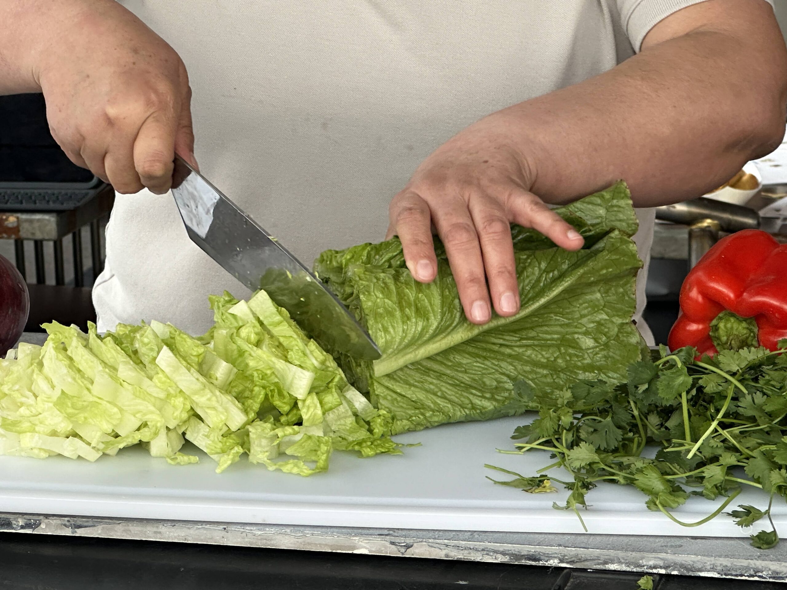 IMG_1117 Plant-Based Food franchise